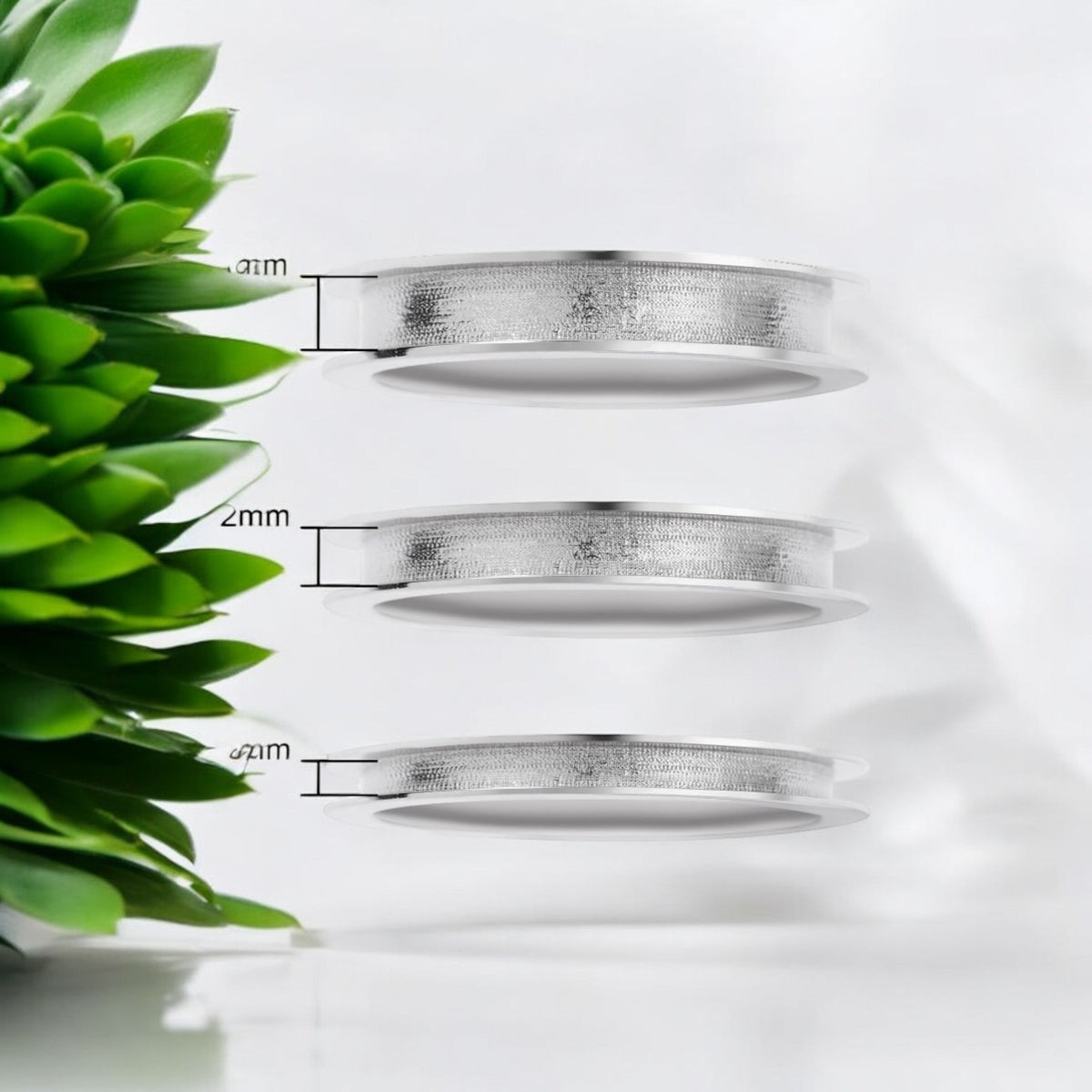 Plain Band 2mm  Ring
